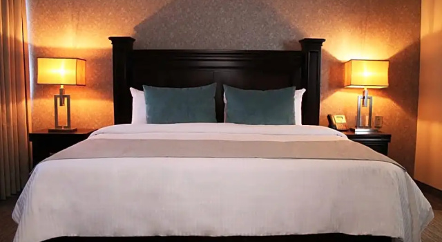 Двухместный номер Standard Gran Hotel Concordia San Luis Potosi