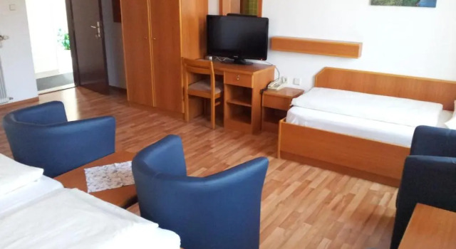 Трёхместный номер Standard Hotel Vöslauerhof