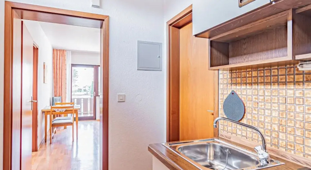 Апартаменты Standard Aparthotel Panorama