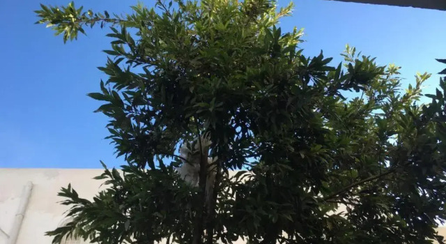 Maison Avec Jardin Garage