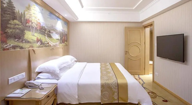 Люкс Deluxe Vienna Hotel Chengdu Dafeng Metro Station