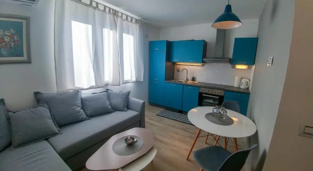 Апартаменты Standard Apartment Skorin