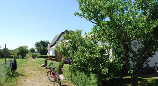 Studio Ferienwohnung Hiddensee in Vitte