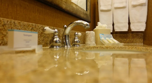 Люкс Hilton Garden Inn Houston-Pearland