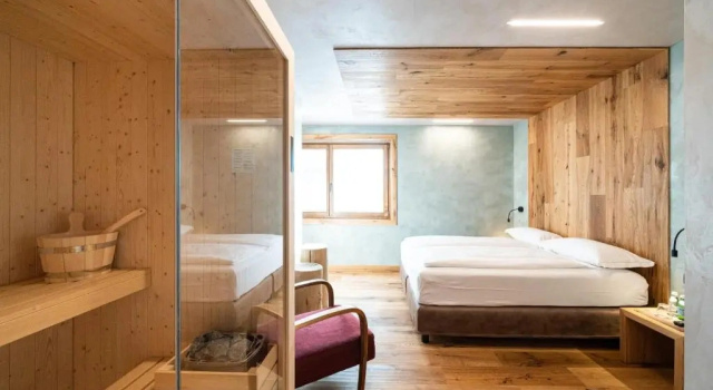 Одноместный номер Deluxe Hotel Larice