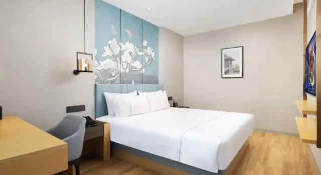 Люкс Deluxe Magnolia Hotel (Luoyang Municipal Government Longmen High-Speed Rail Station Branch)