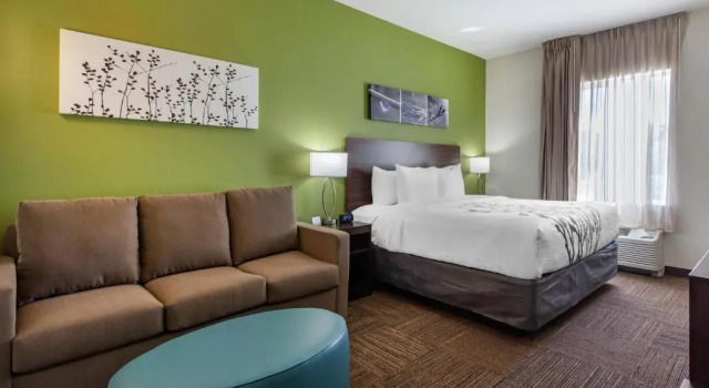 Двухместный люкс Sleep Inn & Suites Tampa South