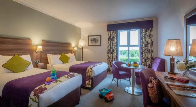 Номер Standard Maldron Hotel, Oranmore Galway