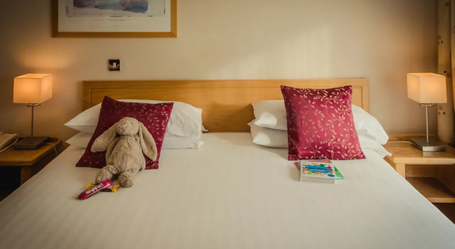 Номер Standard Waterford Viking Hotel