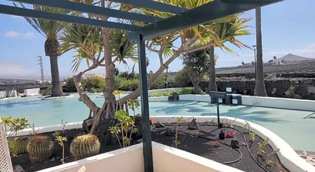 Номер Superior Hotel Rural Finca de La Florida