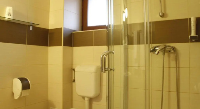 Люкс Vila Toparceanu - Therme & Airport Otopeni