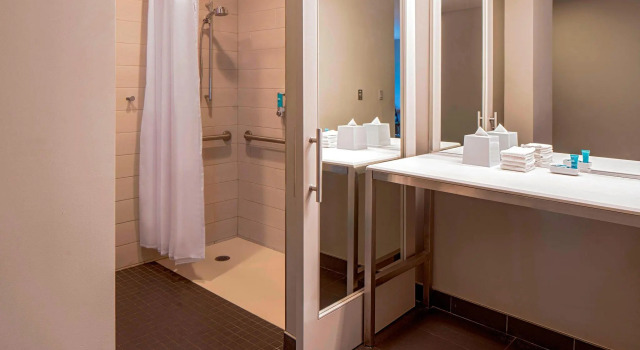 Четырёхместный номер Standard с видом на город Aloft by Marriott New Orleans Downtown