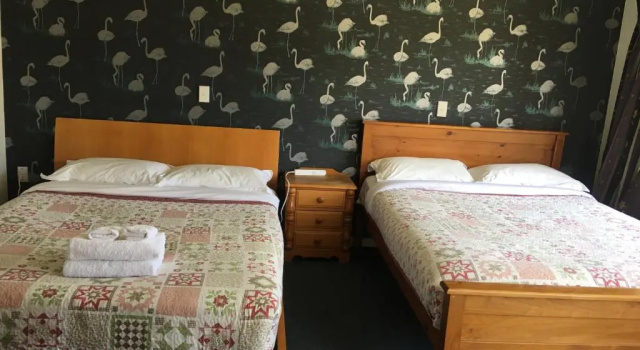 Коттедж Sunny House with 5 Bedrooms(Near Airport)