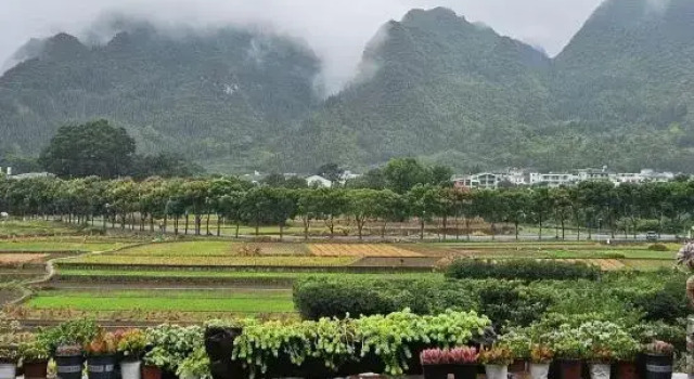 Yanshe wanglan Homestay, Varaa Hotelli Xingyi Guizhou