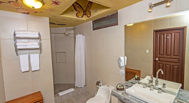 Номер Premium Hacienda Chorlavi