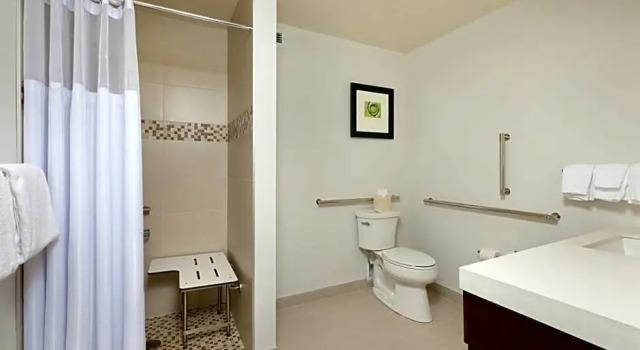 Номер Mobility/Hearing Accessible with Roll In Shower Hilton Garden Inn Pittsburgh Downtown