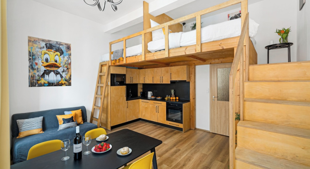 Апартаменты Deluxe Urban Loft Apartment