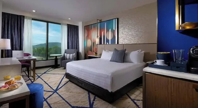 Номер Deluxe Hard Rock Hotel & Casino Bristol