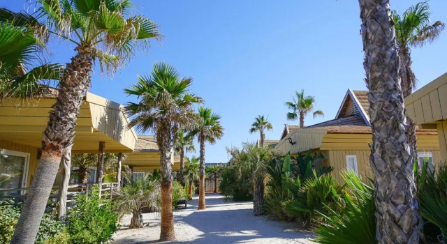 Номер Standard La Toison d'Or Resort & Spa