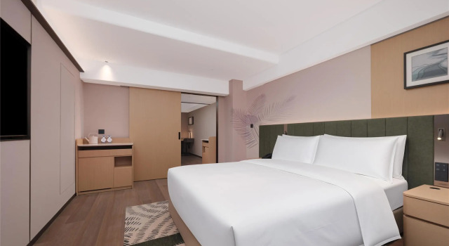 Люкс Deluxe Hilton Garden Inn Shenzhen Luohu Port