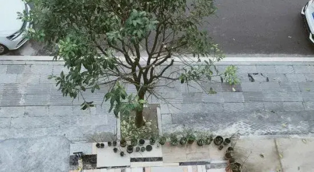 Qikong Qingyuan Inn, Book Hotel Libo Guizhou