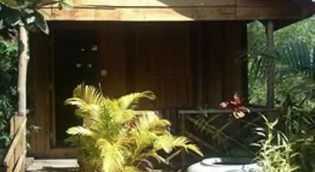 Четырёхместный номер Standard с видом на сад Otres Beach Resort