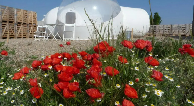 Номер Standard Hotel Aire de Bardenas