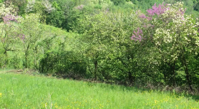 Вилла Agriturismo Terre Bianche