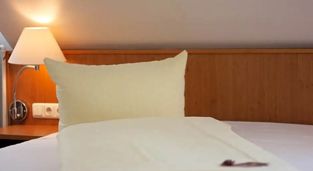 Номер Standard Hotel Aulmann