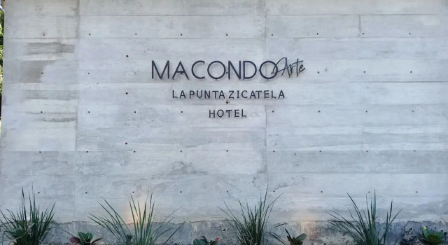 Macondo Arte Punta Zicatela