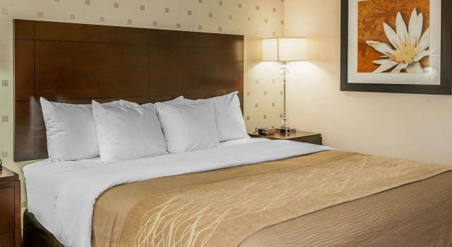 Двухместный номер Standard Comfort Inn Bloomington near University