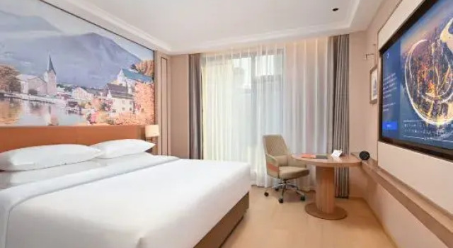 Люкс Deluxe Vienna Hotel Linqing Canal Culture Plaza Store
