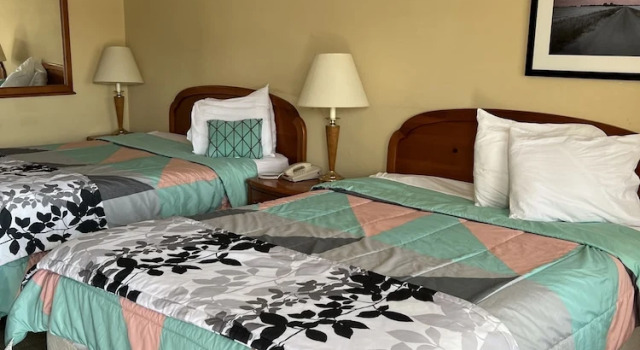 Economy Zimmer Ambassador Inn