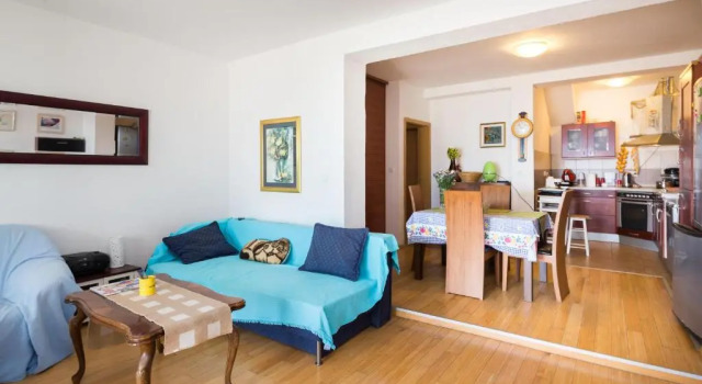 Apartment Goran