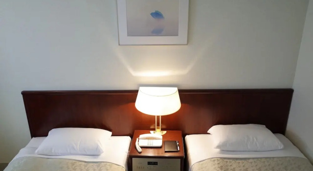Двухместный номер Economy Hotel Princess Garden