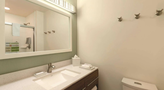 Двухместная студия Premium Home2 Suites by Hilton Bellingham
