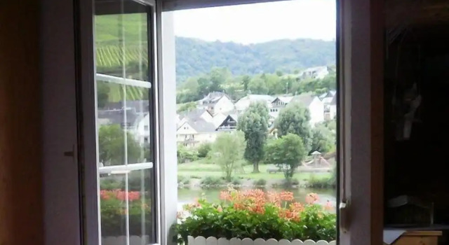 Двухместная студия Standard Mosel Panorama
