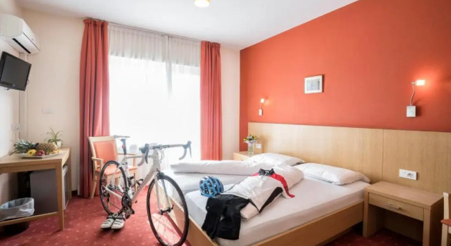 Номер Standard Hotel Weingarten