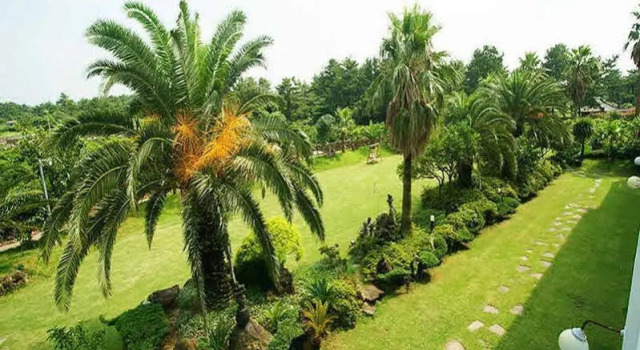 Hyeopjaewon Pension