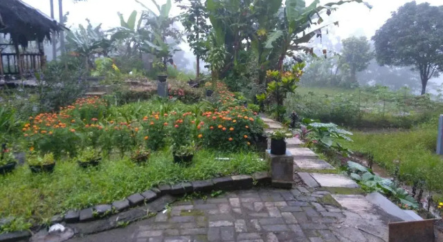 Rumah Sakinah