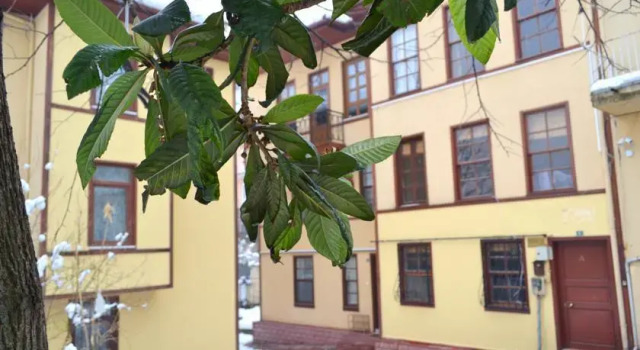 Bursa Guest House, Prenota Affittacamere Affittacamere a Bursa, Affittacamere