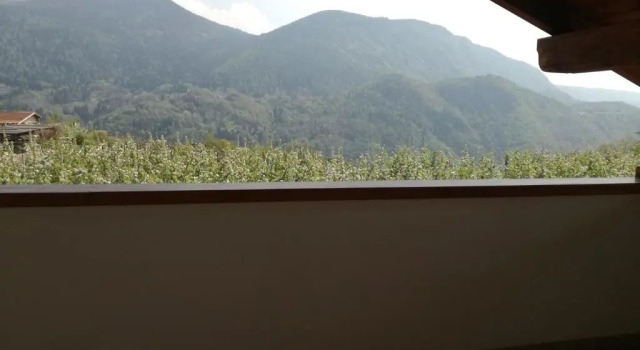 Полулюкс Agriturismo Le Cavade
