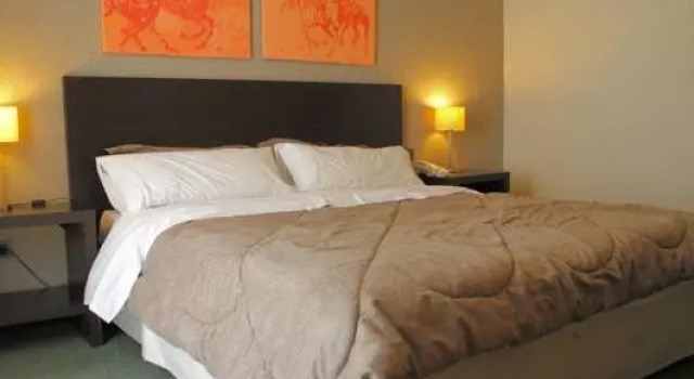 Номер Standard Epic Hotel San Luis