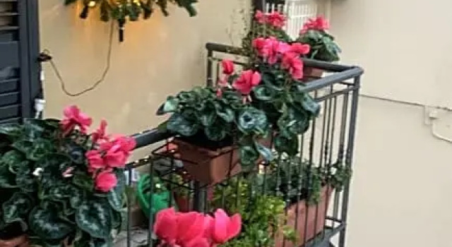 Residence San Pietro Book sharing, Reserva ahora Bed & breakfast Nola Campania