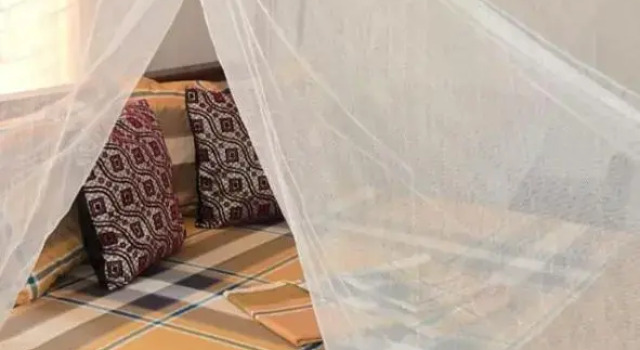 Isiwara Paura Bugged Apartment