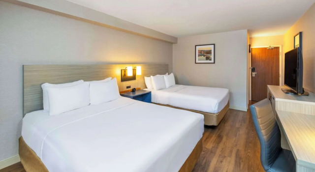 Четырёхместный номер Comfort Цокольный этаж Comfort Inn Magnetic Hill