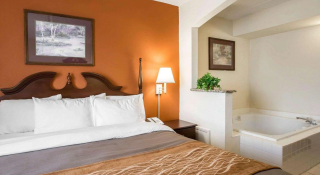 Двухместный люкс Comfort Inn & Suites Spartanburg North