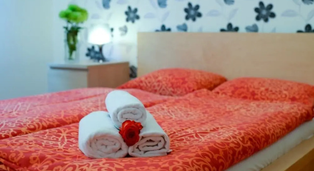 Апартаменты c 1 комнатой Aboriginal Budapest Apartments