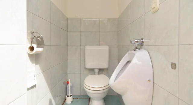 Коттедж Standard House 1666