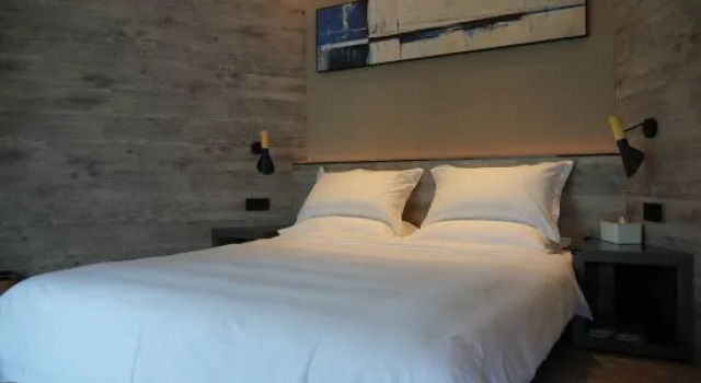 Люкс X-Dan Nature Meiji Zhuyin Hotel